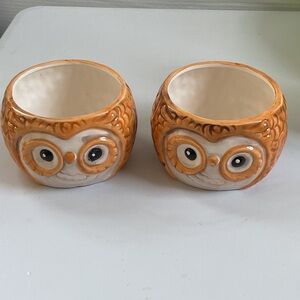 Charming Owl Ceramic planters - Orange and White